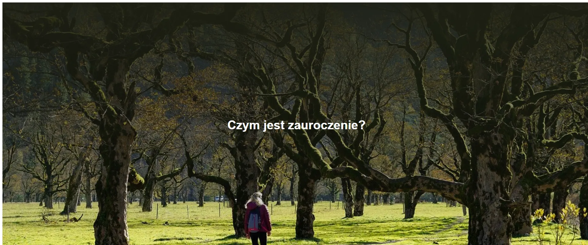 Czym jest zauroczenie?