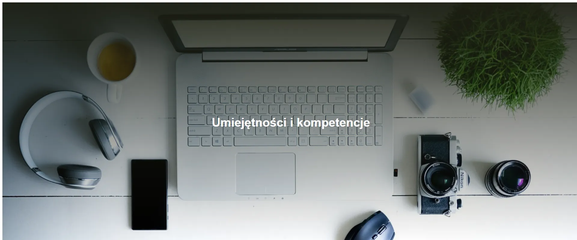 Umiejętności i kompetencje